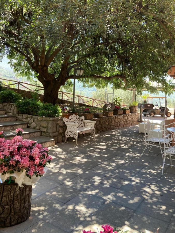 Agriturismo Nonno Luigino 비코에쿠엔세 외부 사진