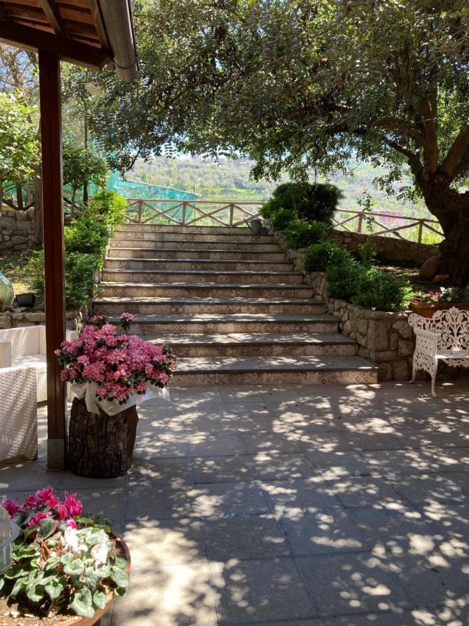 Agriturismo Nonno Luigino 비코에쿠엔세 외부 사진