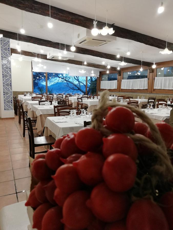 Agriturismo Nonno Luigino 비코에쿠엔세 외부 사진